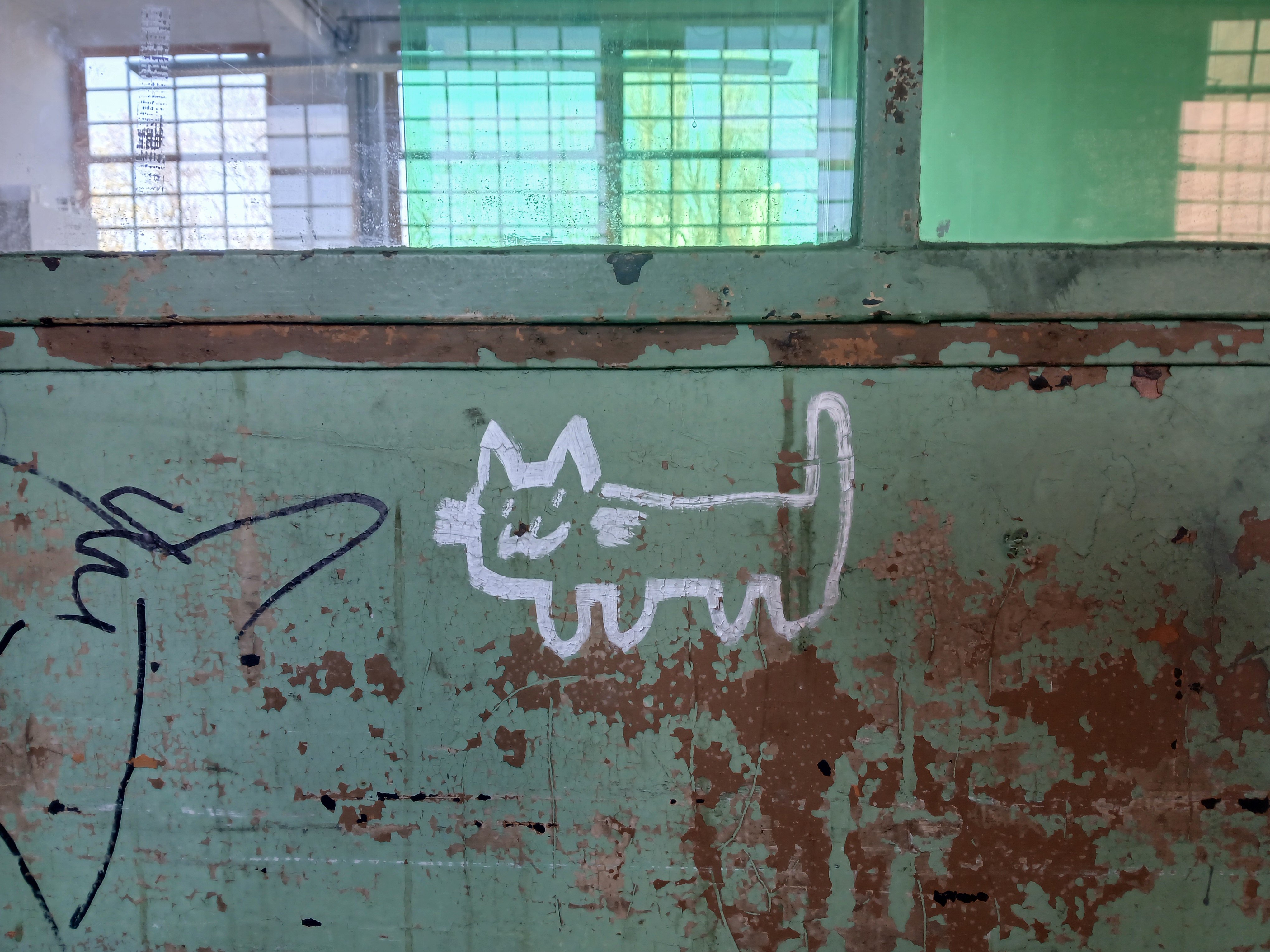 chat du bureau